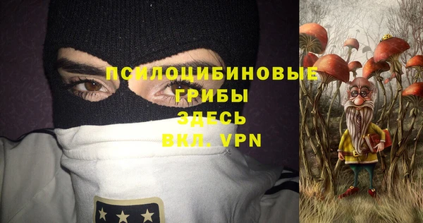 индика Покачи