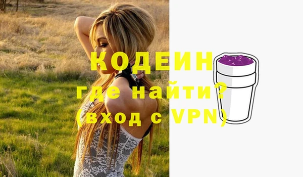 индика Покачи